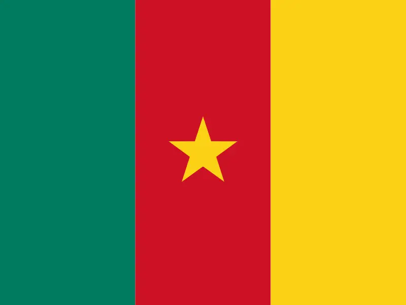 Drapeau — Cameroun